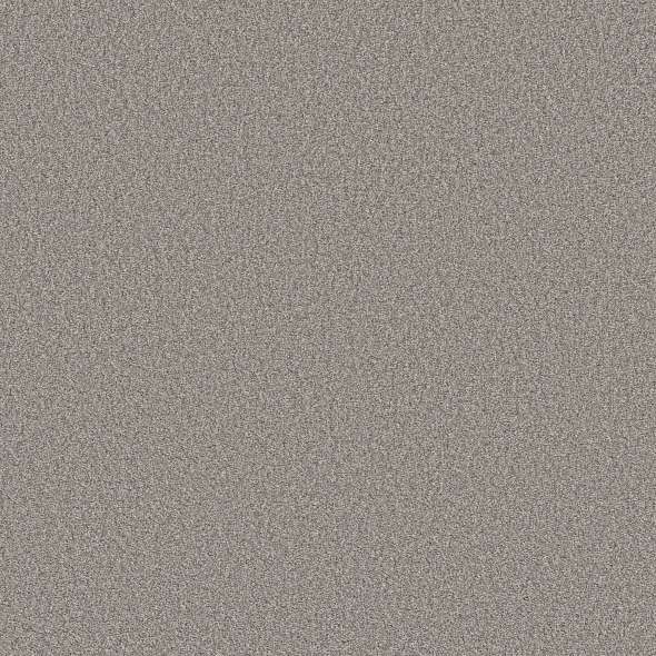 Colorwall - Tonal Comfort I - Carpet Shaw Floors
