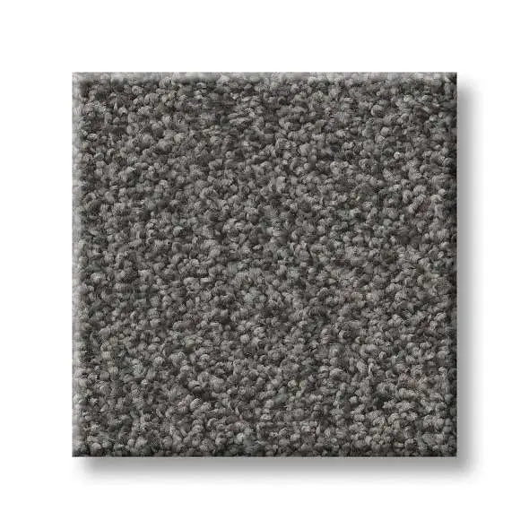 Colorwall - Tonal Comfort I - Carpet Shaw Floors