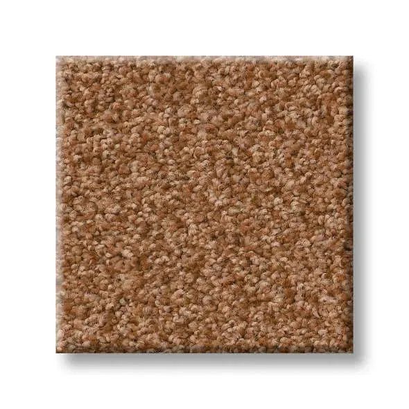 Colorwall - Tonal Comfort I - Carpet Shaw Floors