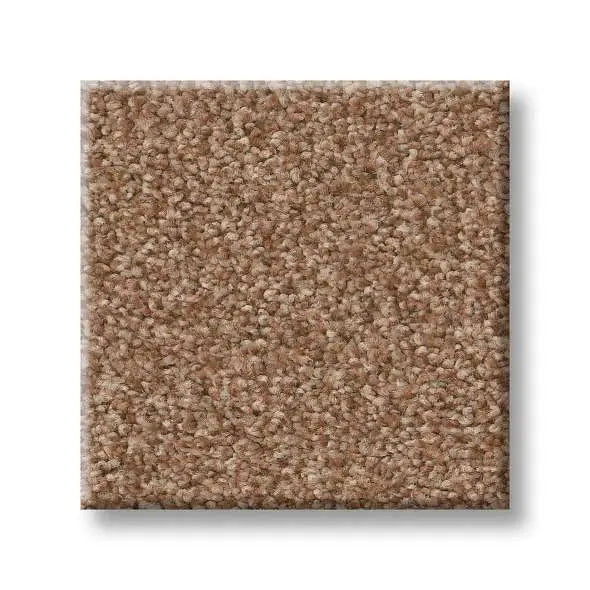 Colorwall - Tonal Comfort I - Carpet Shaw Floors