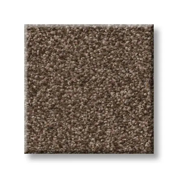 Colorwall - Tonal Comfort I - Carpet Shaw Floors