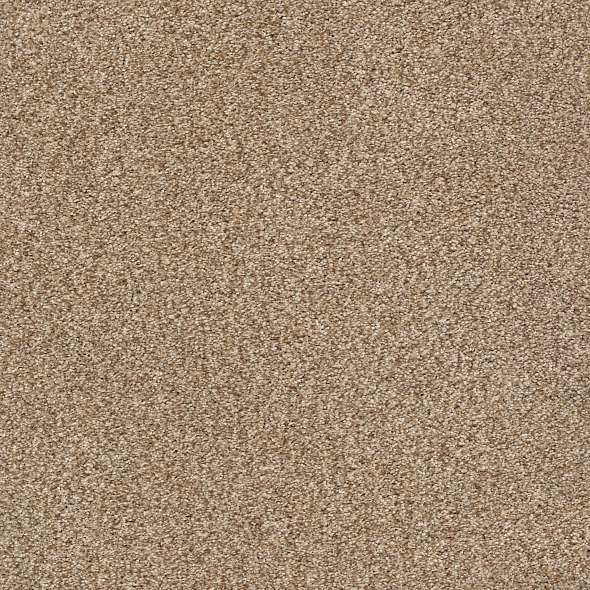 Colorwall - Tonal Comfort I - Carpet Shaw Floors