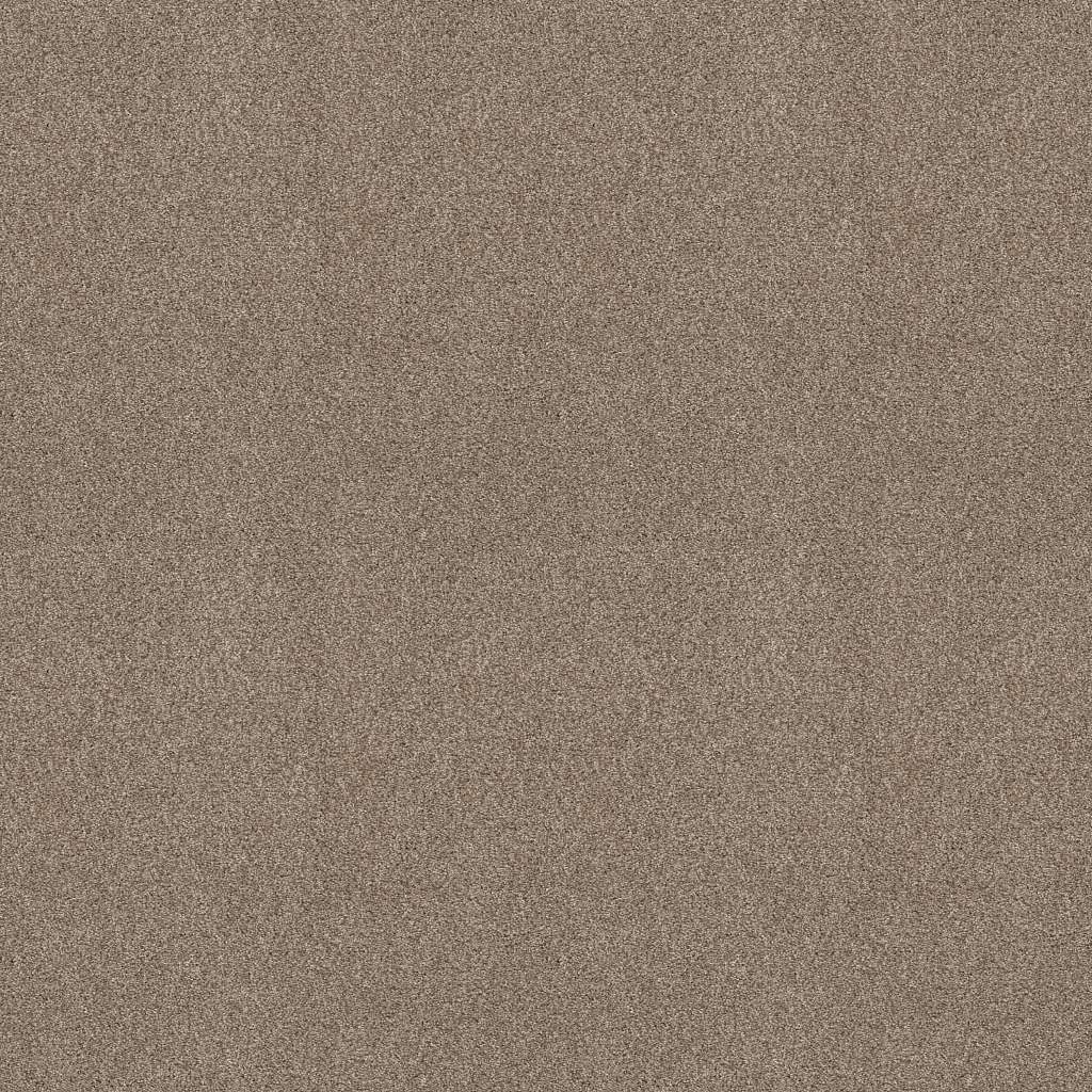 Colorwall - Tonal Comfort I - Carpet Shaw Floors