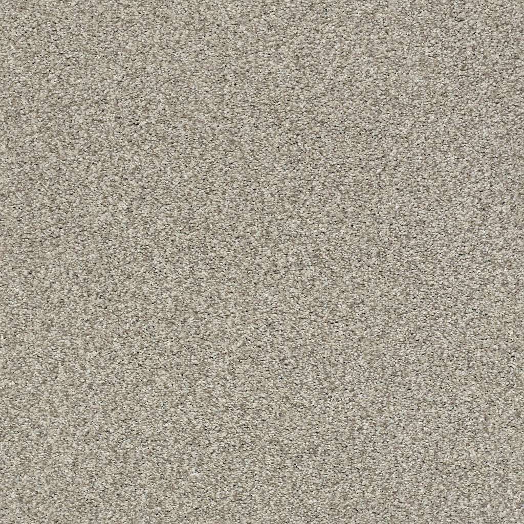Colorwall - Tonal Comfort I - Carpet Shaw Floors