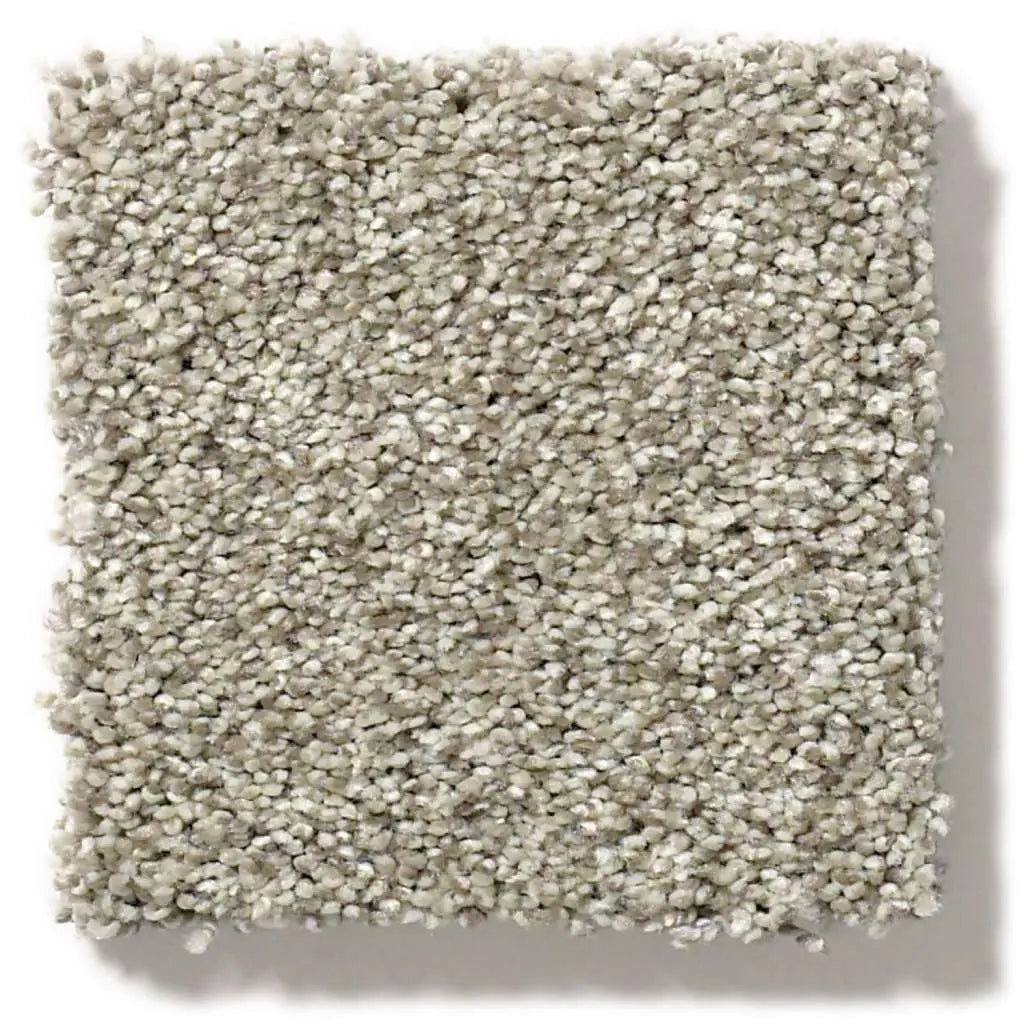 Colorwall - Tonal Comfort I - Carpet Shaw Floors
