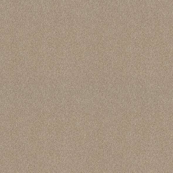 Colorwall - Find your comfort I - Tonal - Carpet Shaw Floors