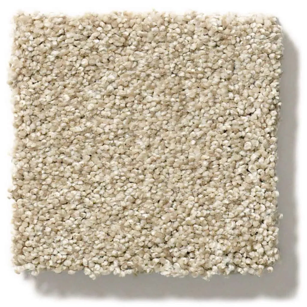 Colorwall - Tonal Comfort I - Carpet Shaw Floors