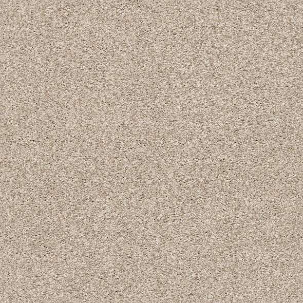 Colorwall - Tonal Comfort I - Carpet Shaw Floors