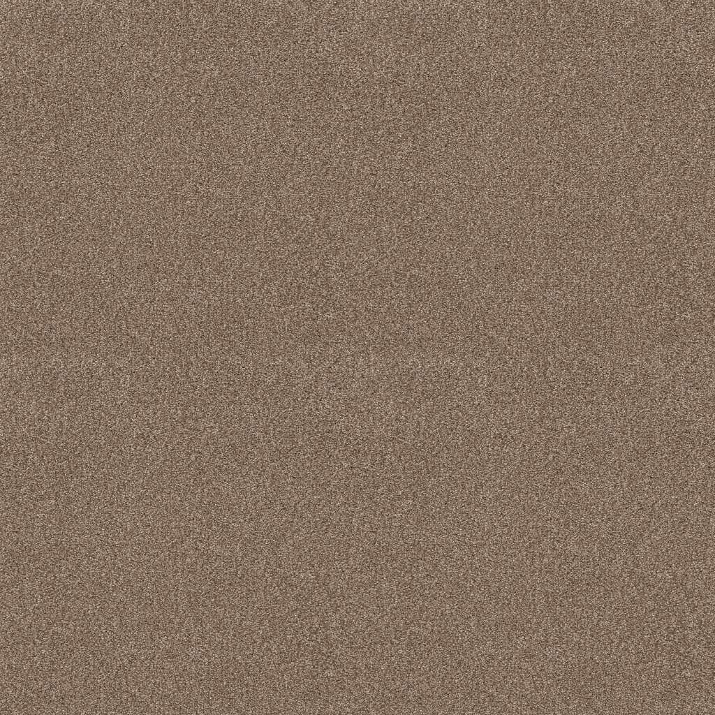 Colorwall - Tonal Comfort I - Carpet Shaw Floors