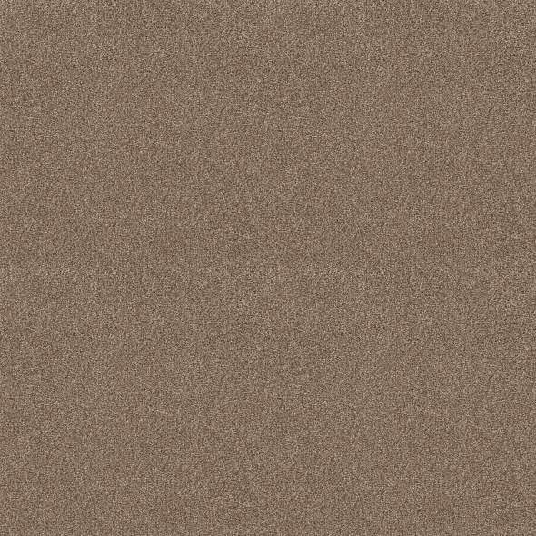 Colorwall - Find your comfort I - Tonal - Carpet Shaw Floors