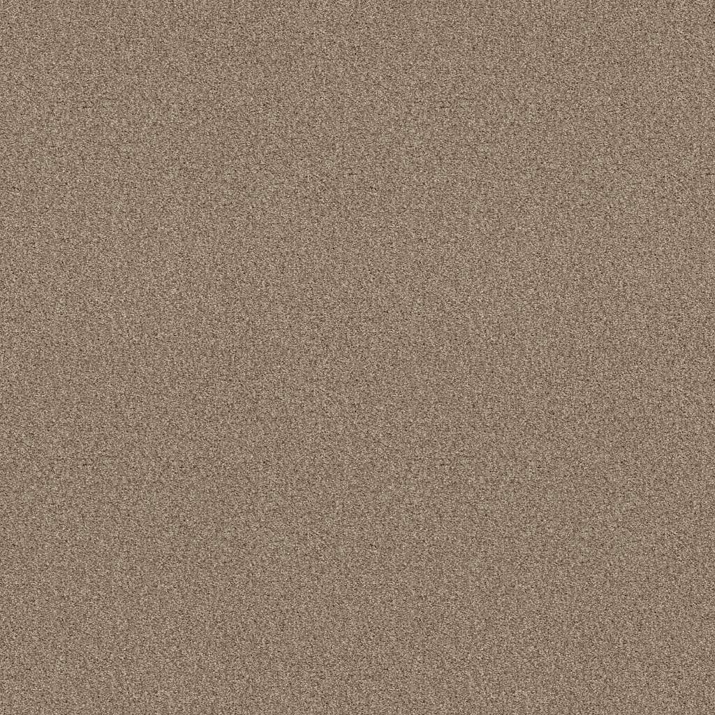 Colorwall - Tonal Comfort I - Carpet Shaw Floors