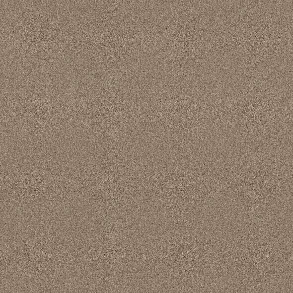 Colorwall - Find your comfort I - Tonal - Carpet Shaw Floors