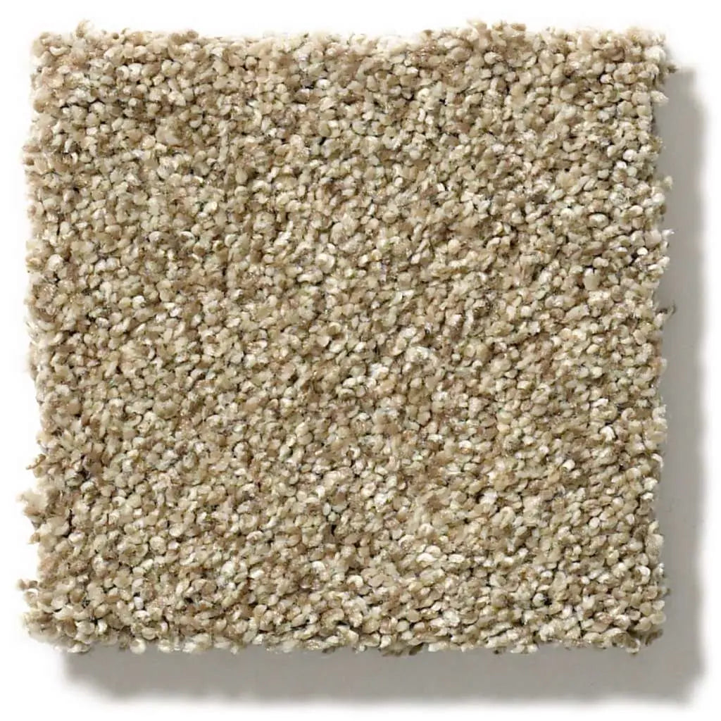 Colorwall - Tonal Comfort I - Carpet Shaw Floors