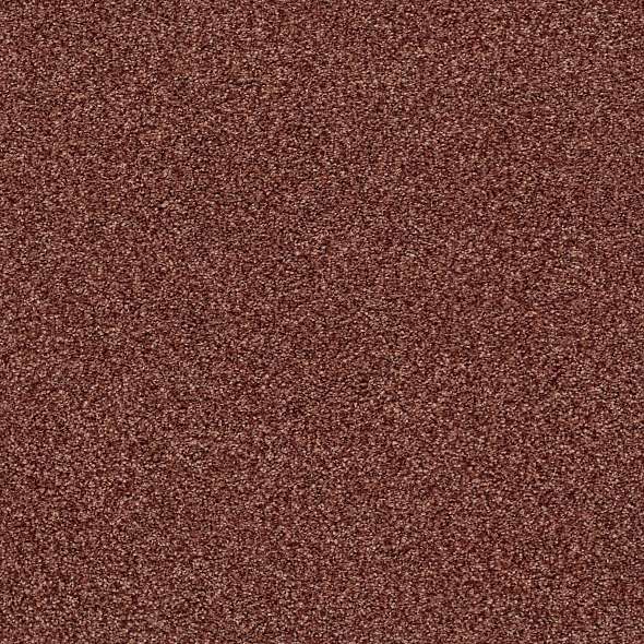 Colorwall - Find your comfort I - Tonal - Carpet Shaw Floors