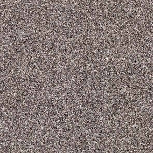 Colorwall - Find your comfort I - Tonal - Carpet Shaw Floors