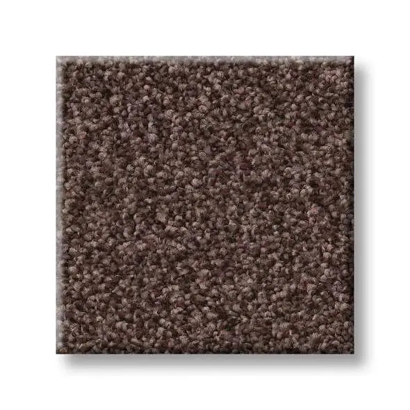 Colorwall - Tonal Comfort I - Carpet Shaw Floors