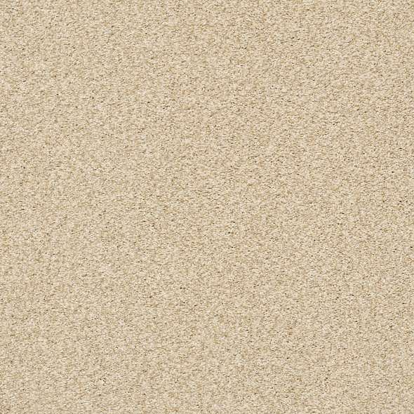 Colorwall - Tonal Comfort II - Carpet Shaw Floors