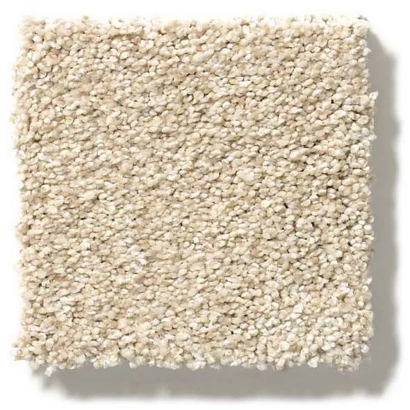 Colorwall - Tonal Comfort II - Carpet Shaw Floors