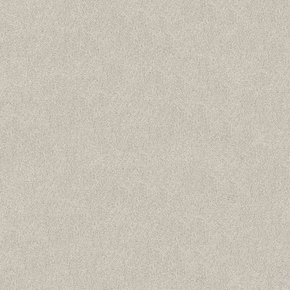 Colorwall - Tonal Comfort II - Carpet Shaw Floors