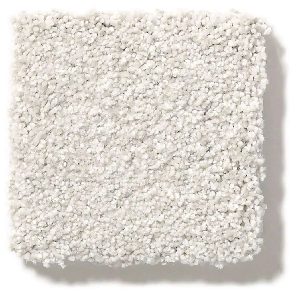 Colorwall - Tonal Comfort II - Carpet Shaw Floors