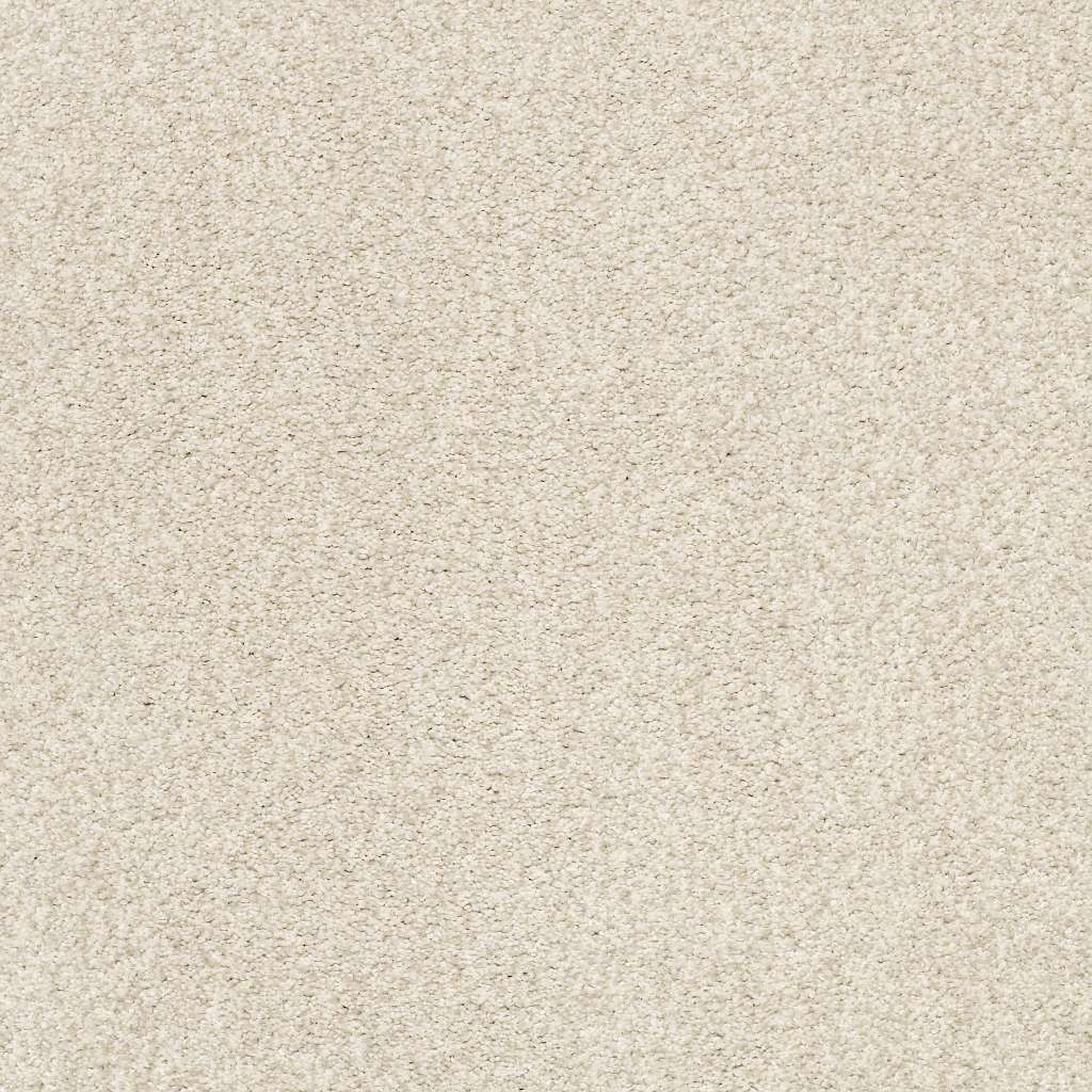 Colorwall - Tonal Comfort II - Carpet Shaw Floors