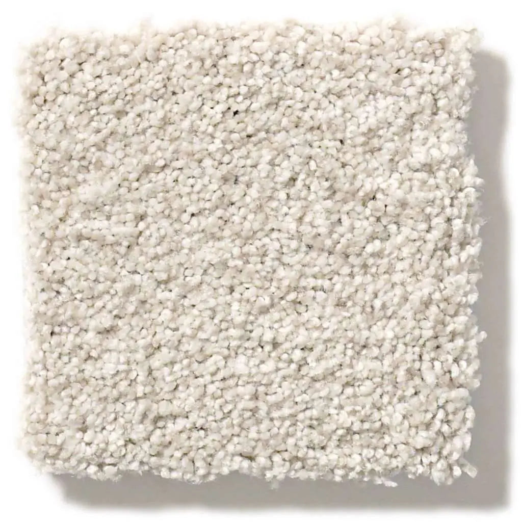 Colorwall - Tonal Comfort II - Carpet Shaw Floors