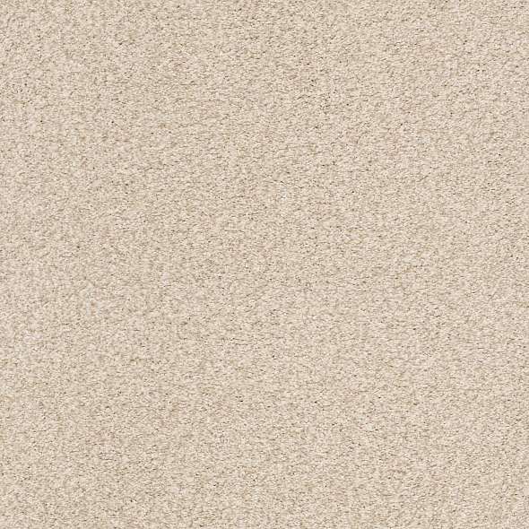 Colorwall - Tonal Comfort II - Carpet Shaw Floors