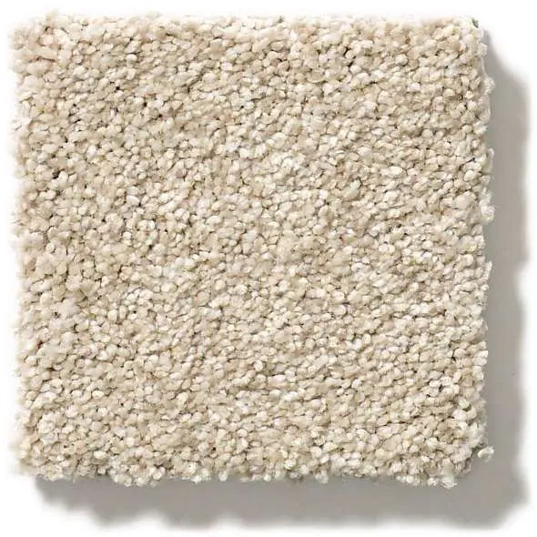 Colorwall - Tonal Comfort II - Carpet Shaw Floors