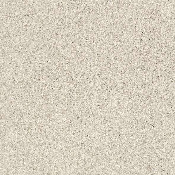 Colorwall - Find your comfort II - Tonal - Carpet Shaw Floors