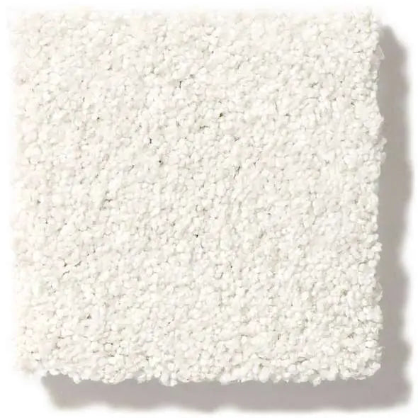 Colorwall - Tonal Comfort II - Carpet Shaw Floors