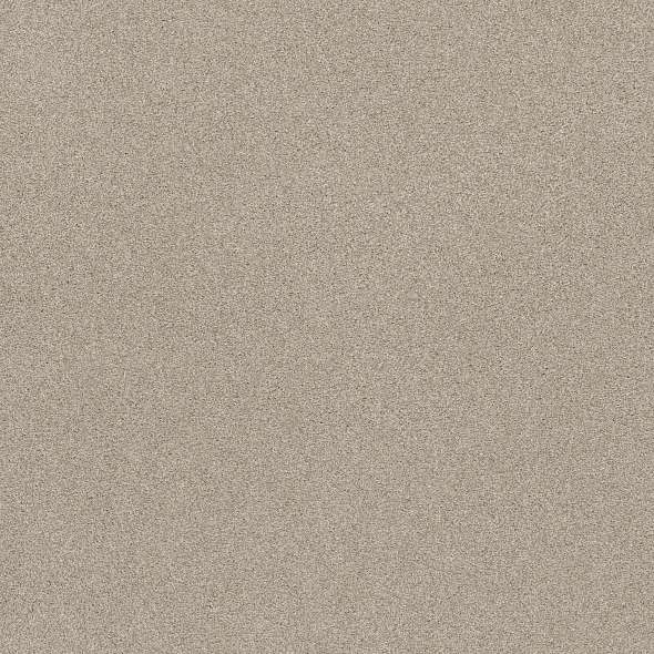 Colorwall - Find your comfort II - Tonal - Carpet Shaw Floors