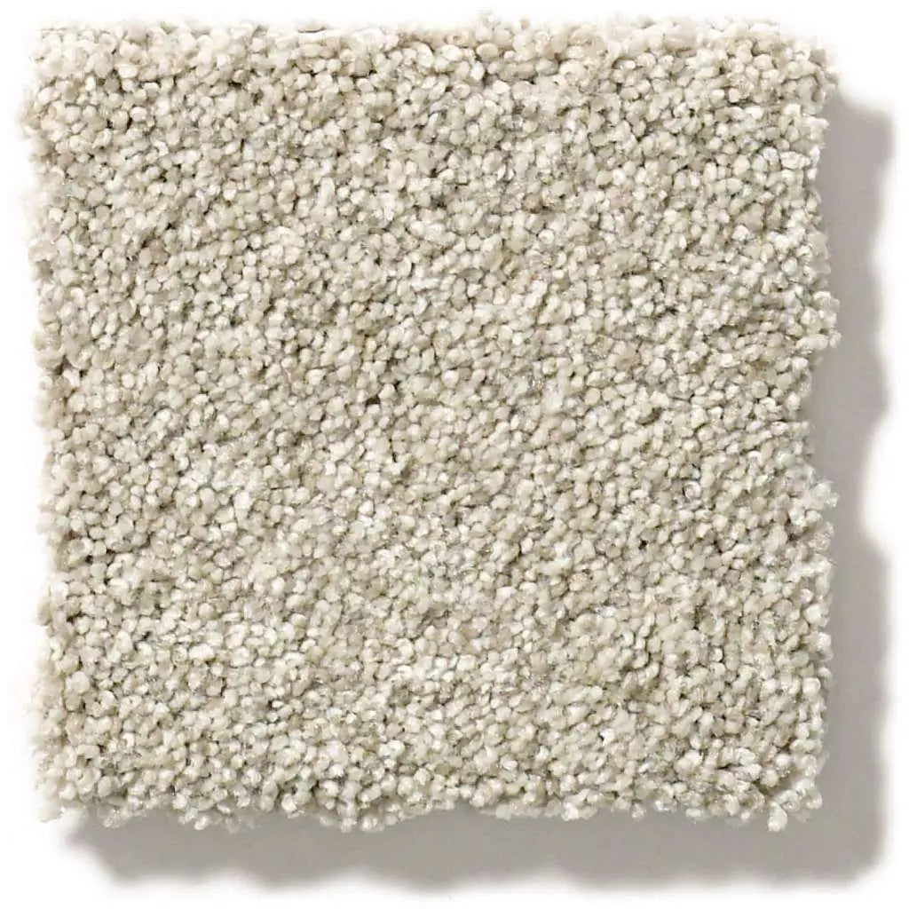 Colorwall - Tonal Comfort II - Carpet Shaw Floors