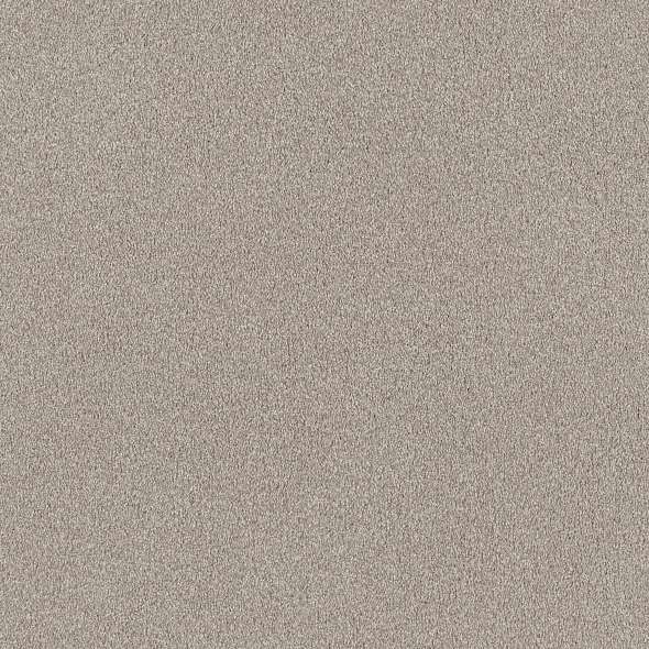 Colorwall - Find your comfort II - Tonal - Carpet Shaw Floors