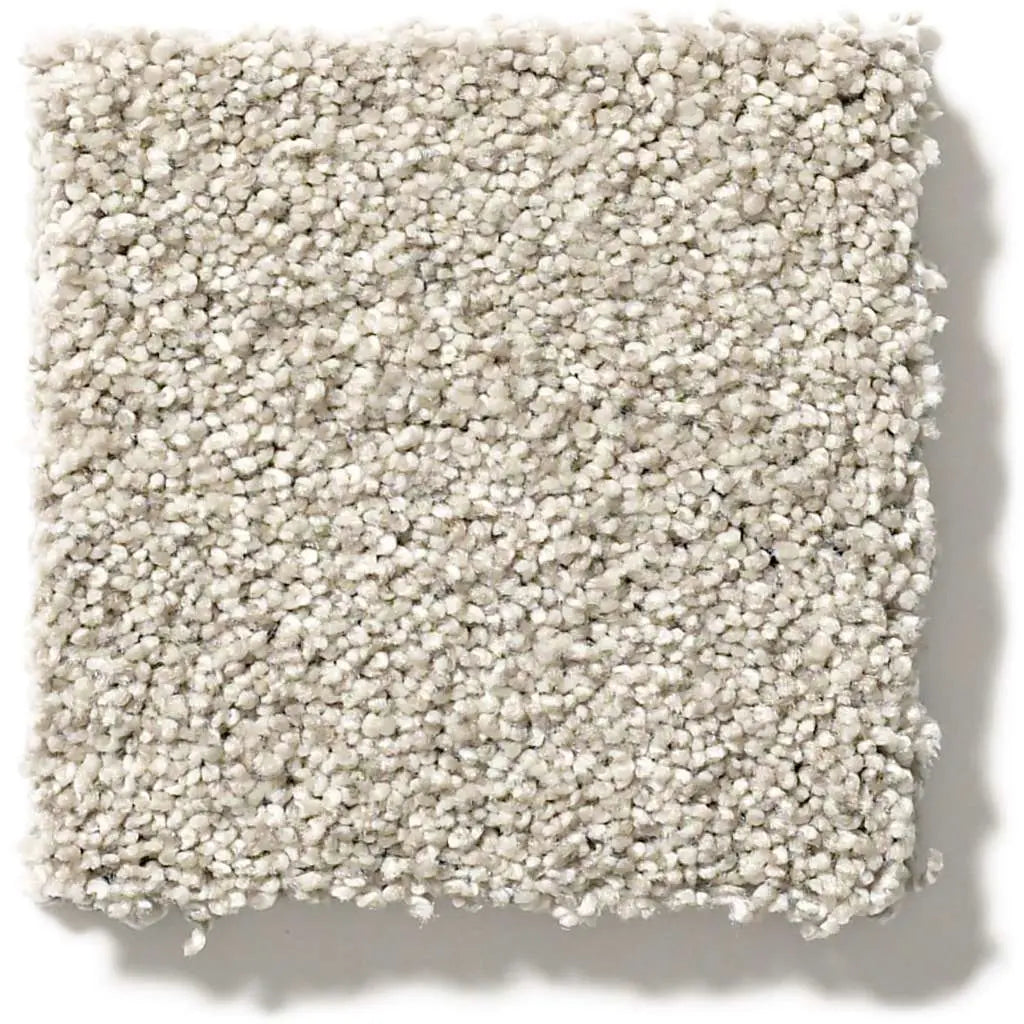 Colorwall - Tonal Comfort II - Carpet Shaw Floors