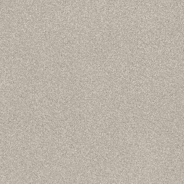 Colorwall - Find your comfort II - Tonal - Carpet Shaw Floors