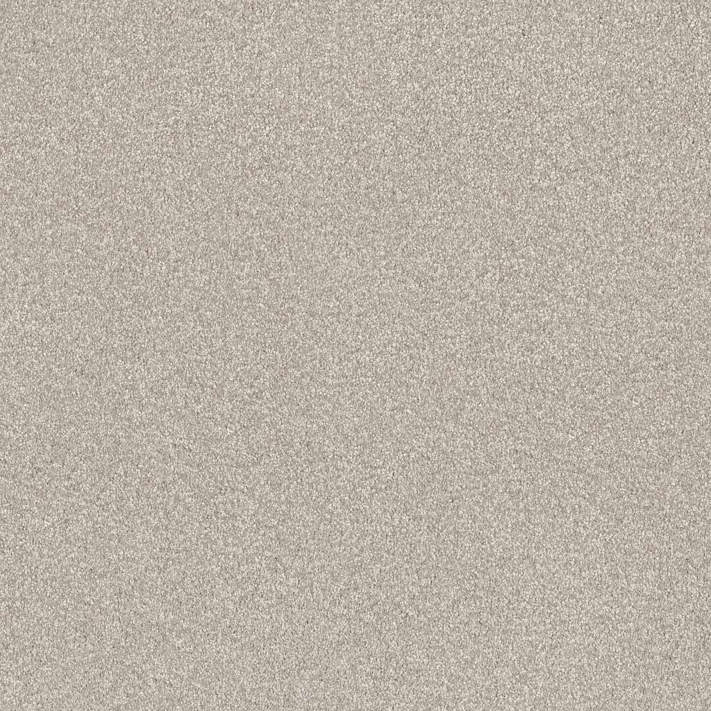 Colorwall - Tonal Comfort II - Carpet Shaw Floors