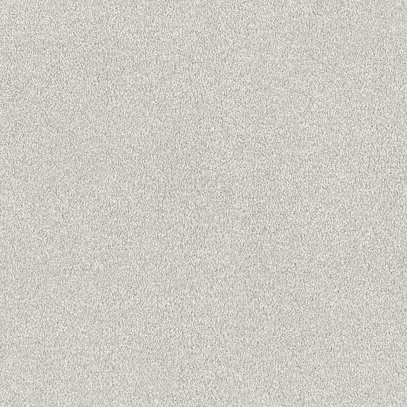 Colorwall - Find your comfort II - Tonal - Carpet Shaw Floors