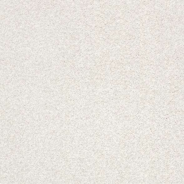 Colorwall - Find your comfort II - Tonal - Carpet Shaw Floors