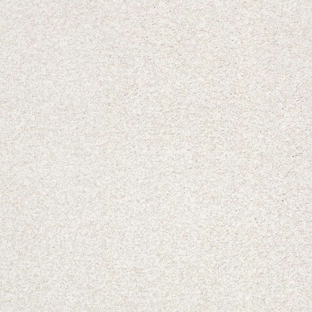 Colorwall - Tonal Comfort II - Carpet Shaw Floors