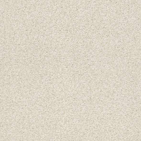 Colorwall - Find your comfort II - Tonal - Carpet Shaw Floors