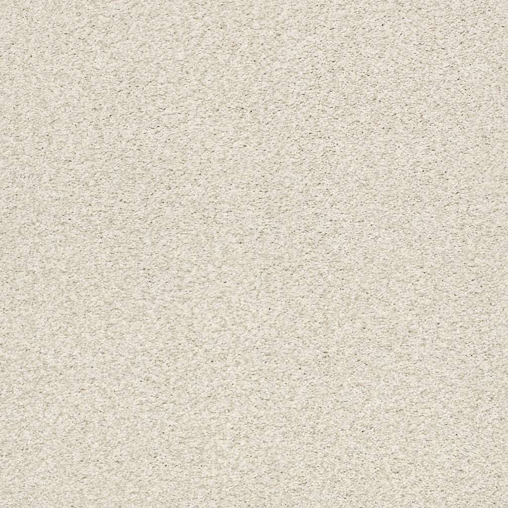 Colorwall - Tonal Comfort II - Carpet Shaw Floors