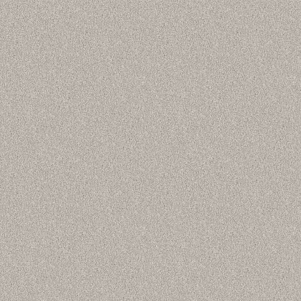 Colorwall - Tonal Comfort II - Carpet Shaw Floors