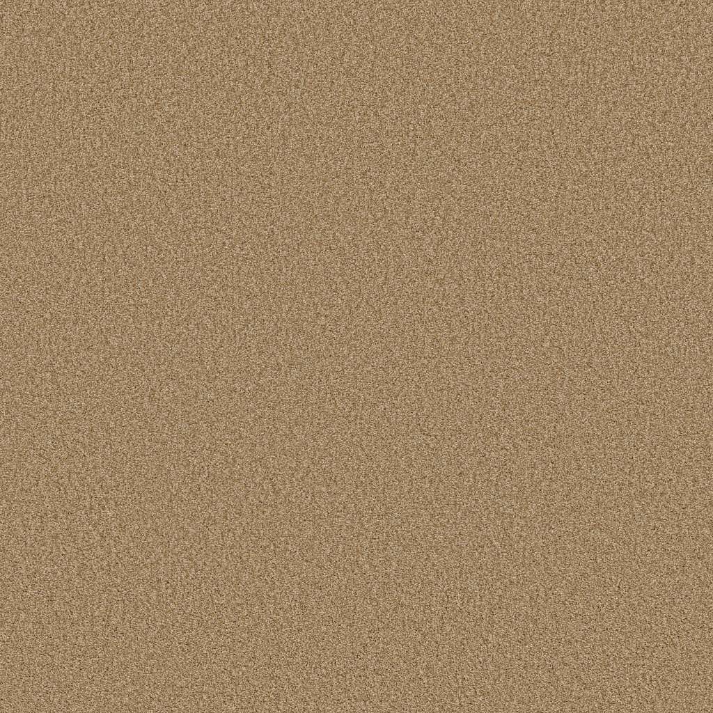 Colorwall - Tonal Comfort II - Carpet Shaw Floors