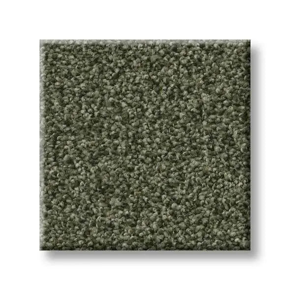 Colorwall - Tonal Comfort II - Carpet Shaw Floors