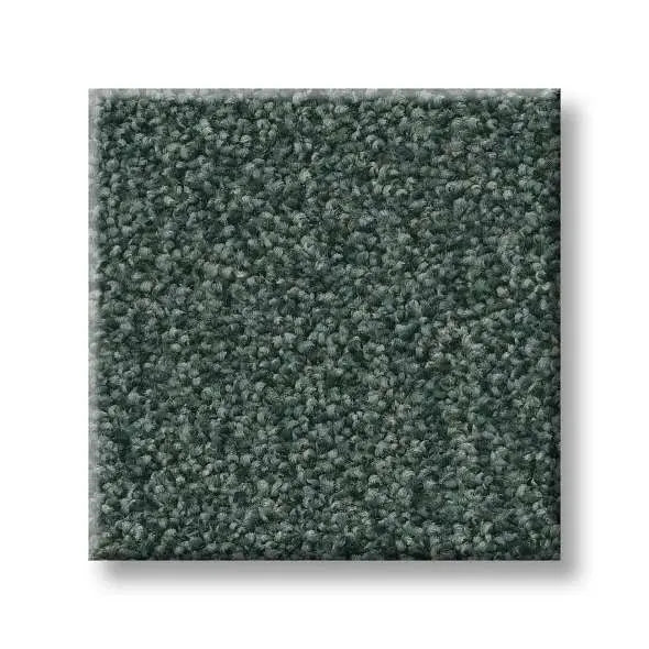Colorwall - Tonal Comfort II - Carpet Shaw Floors