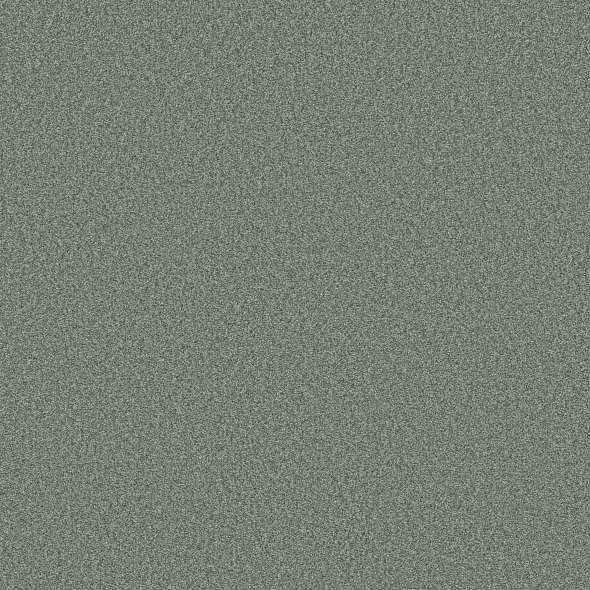 Colorwall - Tonal Comfort II - Carpet Shaw Floors