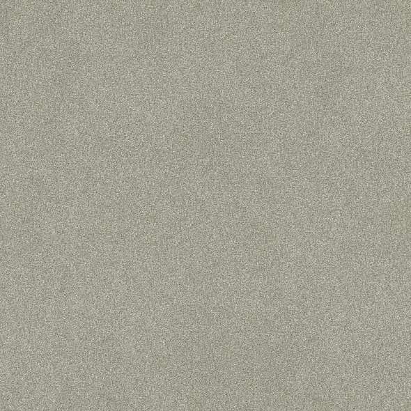 Colorwall - Tonal Comfort II - Carpet Shaw Floors