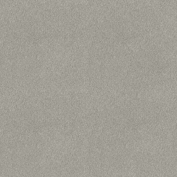 Colorwall - Tonal Comfort II - Carpet Shaw Floors