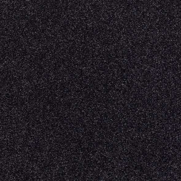 Colorwall - Tonal Comfort II - Carpet Shaw Floors