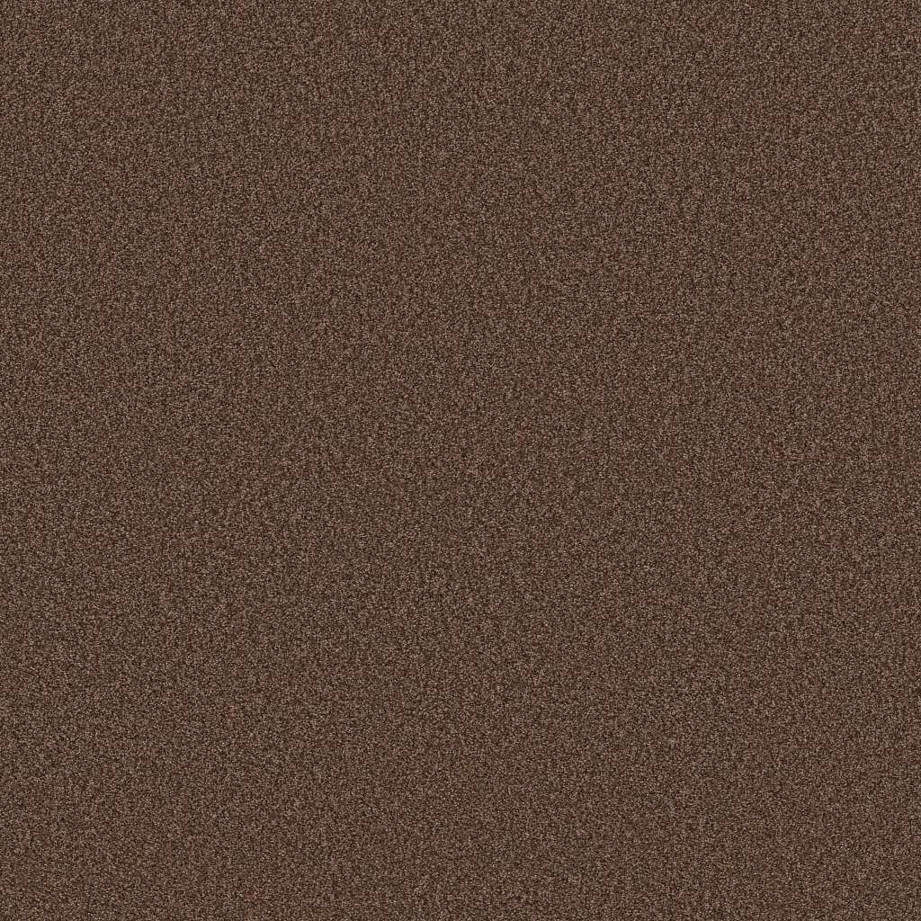 Colorwall - Tonal Comfort II - Carpet Shaw Floors